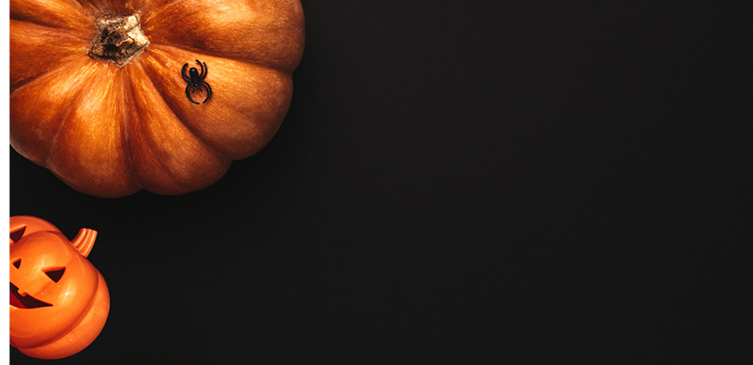 Three pumpkins are placed on a black background.

AI generated content